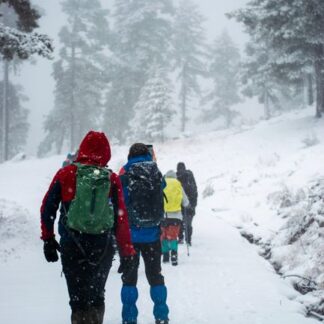 WildPath Scarpa da trekking Pro