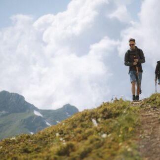 TrailBlaze Bastoncini trekking Carbonio